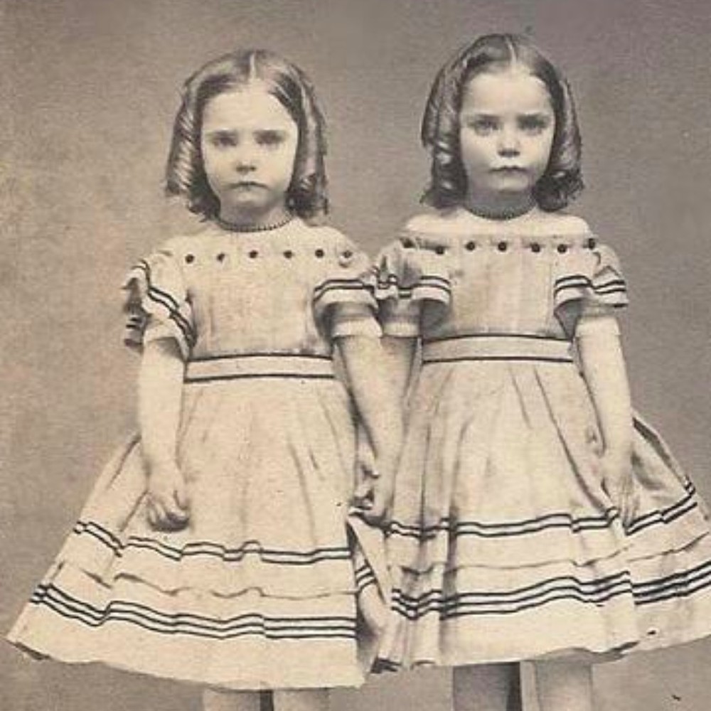 Meet your Posher, Roy